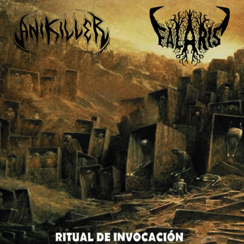 Anikiller : Ritual de Invocaci​ó​n